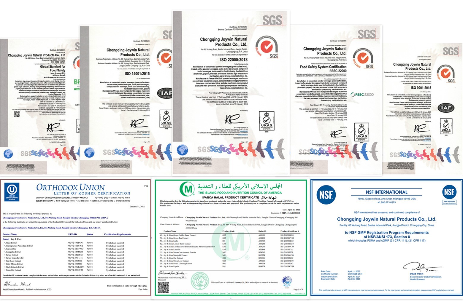 product-1560-1029 product-1560-1029