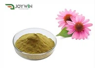 Antibiotikus Echinacea kivonat por