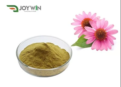 Echinacea Purpurea kivonat por
