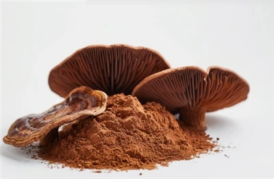 Ganoderma kivonat és zöld tea kivonat